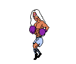 Heike Kagero (NES-Style)