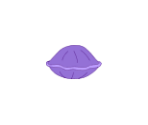 Clam