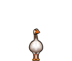 Goose