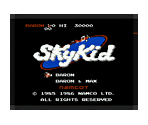 SkyKid