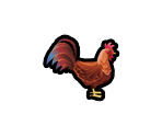 Rooster