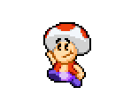 Toad (Super Show Design)