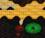 Hive Screens