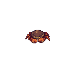 Brown Crab