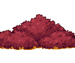 Fall Foliage