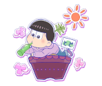 Todomatsu (Flower Pot)