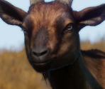 Alphine Goat