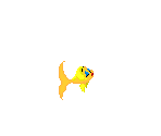 Goldfish (Goldie)