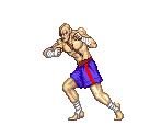 Sagat