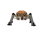 Arachnotron