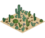 Cactus Patch