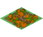 Pumpkin Patch