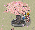 Festival Plaza (Flower-Watching Festival)