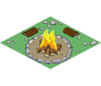 Camp Fire