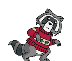 Christmas Raccoon