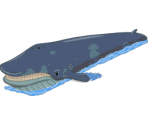 Whale