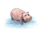 Hippopotamus