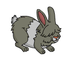 Bunny #24601