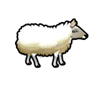 Sheep