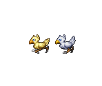 Chocobos