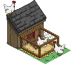 Chicken Coop