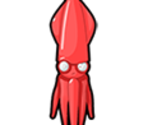 Squid