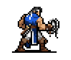 Richter Belmont