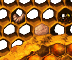 Hornet Hole Bonus 1