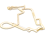 Track Maps