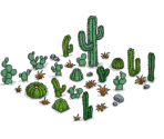 Cacti