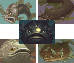 Fish Portraits