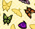 Butterfly List