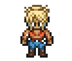 Playable Wrestler (Female)