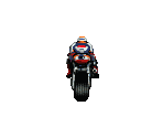 Rider (208x208)