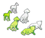 Pet Age Icons