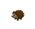 Hedgehog