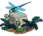 Dragonfly Rock