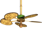 Ceiling Fan