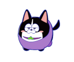 Ichimatsu (Dog Matsu)