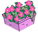 Flower Planter