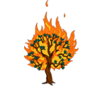 Burning Tree