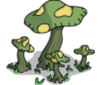 Large Mushrooms