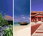 Travel Ticket Backgrounds (Okinawa)