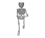 Skeleton