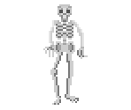 Skeleton (Shareware)