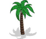 Palm Tree