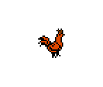 Rooster