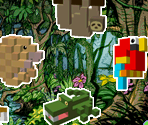 The Majestic Rain Forest