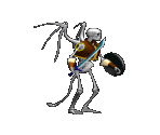 Skeleton