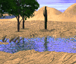 Stage 3A - Taklimakan Desert